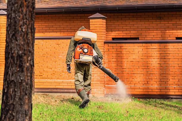 Top rated local Wasp Removal specialists in Ravenel, SC